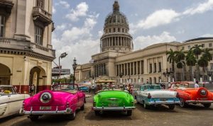 12801659_1152225774817478_1787611794960209756_n