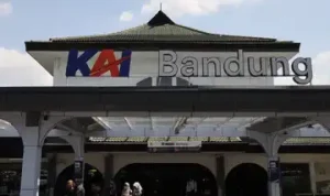 1761398143256img-20250912-wa000-20251121055909