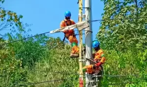 img-20190628-wa0058jpg-20230629112908