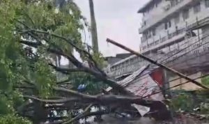 Screenshot_20260403-172629